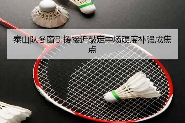 泰山队冬窗引援接近敲定中场硬度补强成焦点
